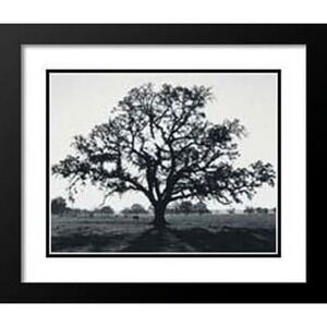 Ansel Adams Oak Tree Sunset  Professionally Framed Black & White Photo 8x10